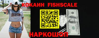 гашик Гатчина