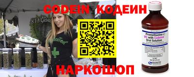 индика Абакан