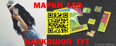гашик Гатчина