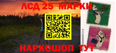 спайс Гагарин