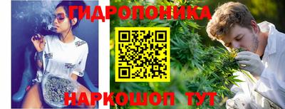 гашик Гатчина