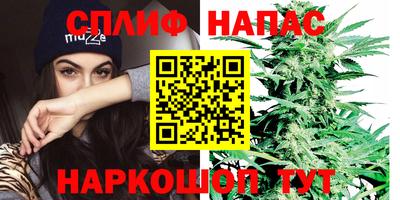 спайс Гагарин