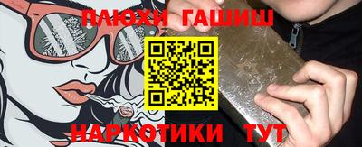 гашик Гатчина