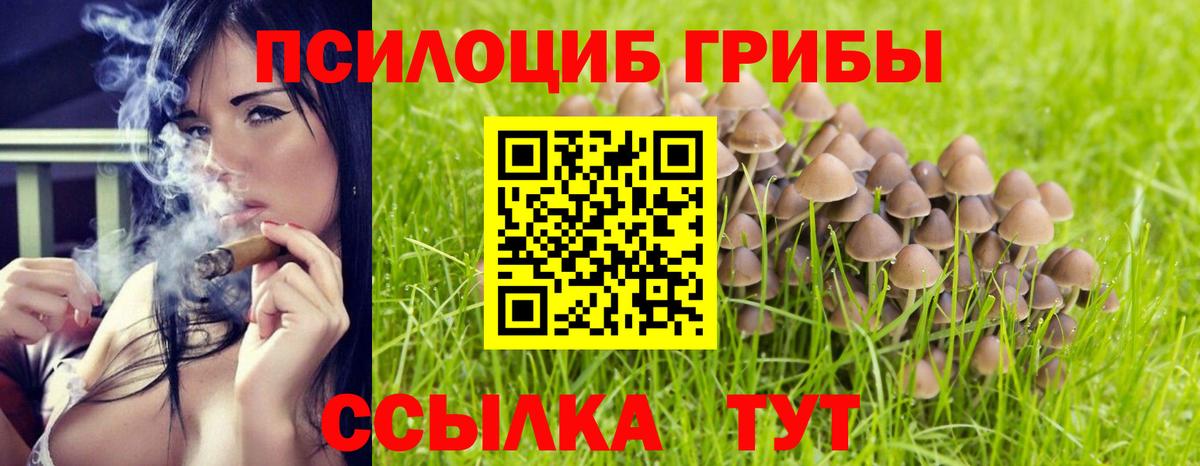 Псилоцибиновые грибы MAGIC MUSHROOMS Сарапул